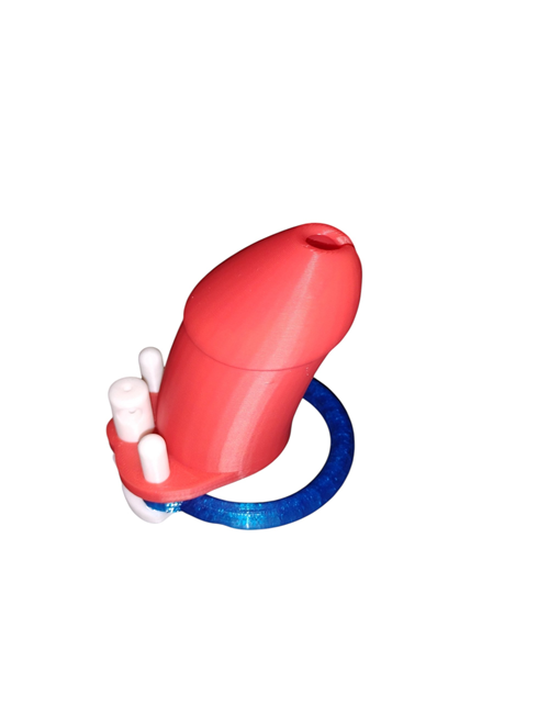 The patriot chastity device